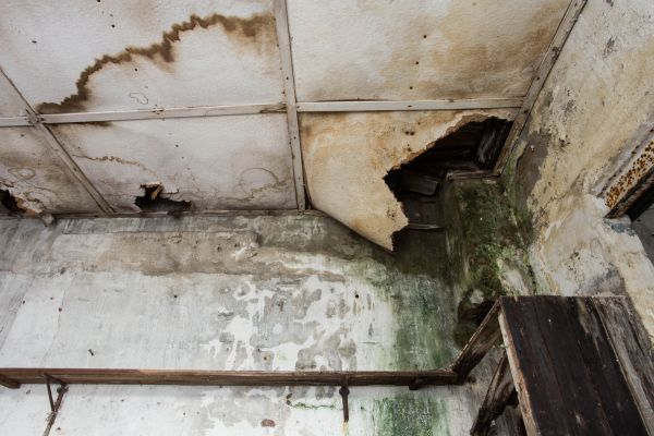 Water Damage Service in Lutz