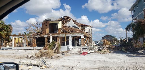 Disaster Cleanup Service in Lutz