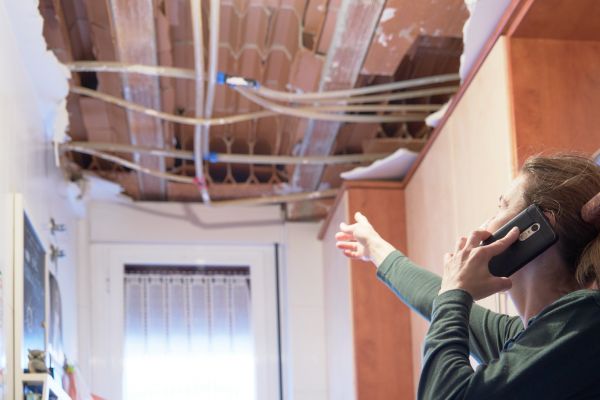 Property Damage Restoration in Lutz