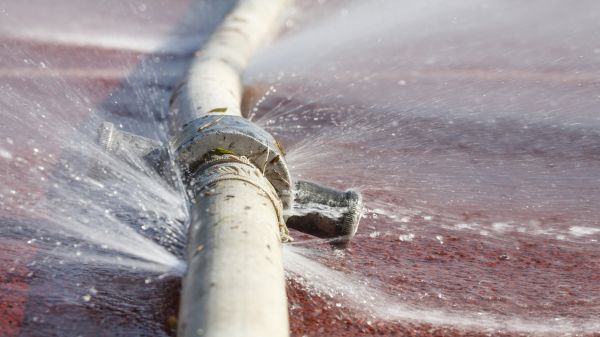 Burst Pipe Cleanup in Lutz
