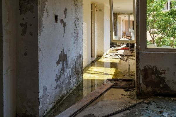 Water Removal Service in Lutz