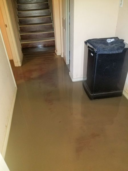 Emergency Water Removal in Lutz