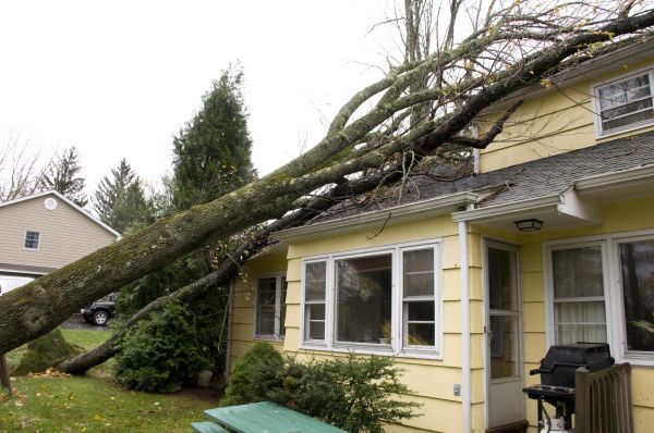 Hurricane Damage Repair in Lutz