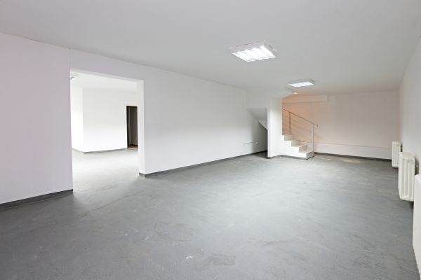 Basement Water Restoration in Lutz
