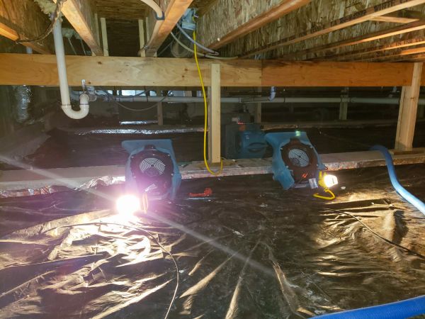 Crawlspace Water Removal in Lutz