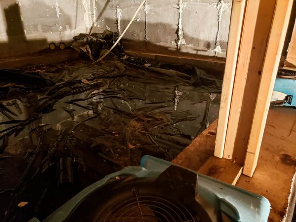 Crawlspace Water Cleanup in Lutz